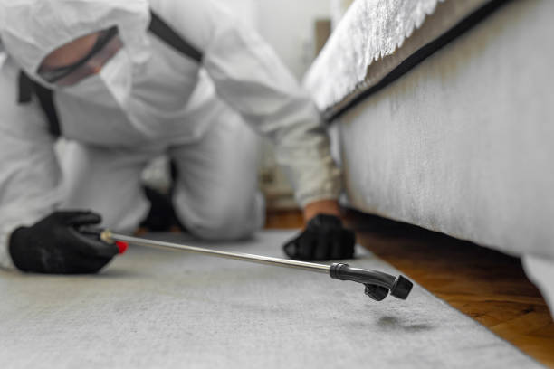 Professional Bed Bug Control technician working in Old Stine, CA